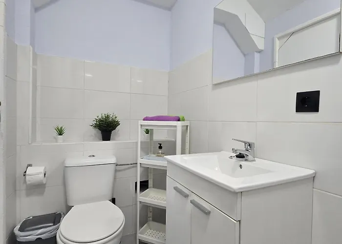 公寓 Estudios Centricos 65